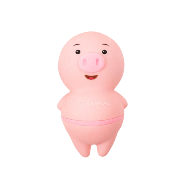 Estimulador De Clítoris Pigly Usb - Image 2
