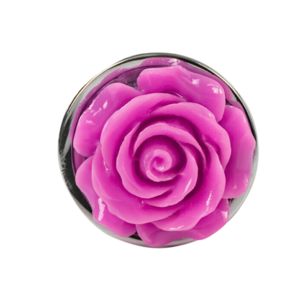 Plug Anal Galica - Image 3